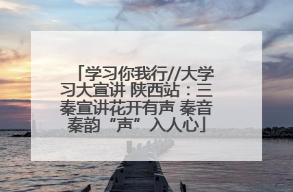 学习你我行//大学习大宣讲 陕西站：三秦宣讲花开有声 秦音秦韵“声”入人心