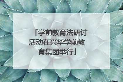 学前教育法研讨活动在兴华学前教育集团举行