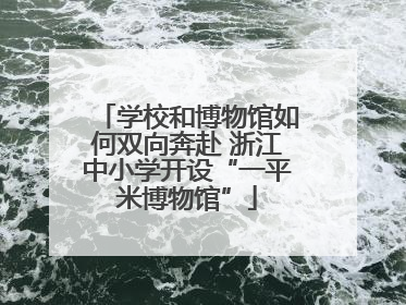 学校和博物馆如何双向奔赴 浙江中小学开设“一平米博物馆”
