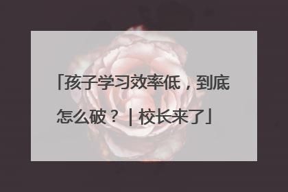 孩子学习效率低，到底怎么破？｜校长来了