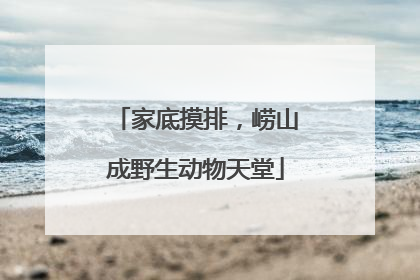 家底摸排，崂山成野生动物天堂