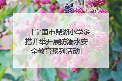 宁国市鼎湖小学多措并举开展防溺水安全教育系列活动