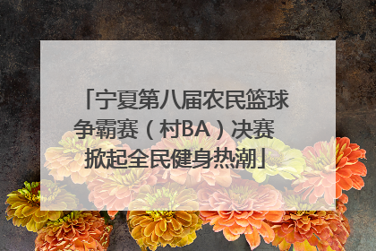宁夏第八届农民篮球争霸赛（村BA）决赛掀起全民健身热潮