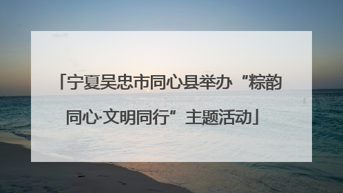 宁夏吴忠市同心县举办“粽韵同心·文明同行”主题活动