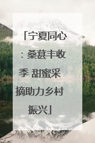 宁夏同心：桑葚丰收季 甜蜜采摘助力乡村振兴