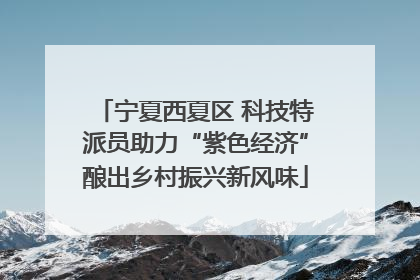 宁夏西夏区 科技特派员助力“紫色经济”酿出乡村振兴新风味