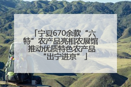 宁夏670余款“六特”农产品亮相农展馆 推动优质特色农产品“出宁进京”