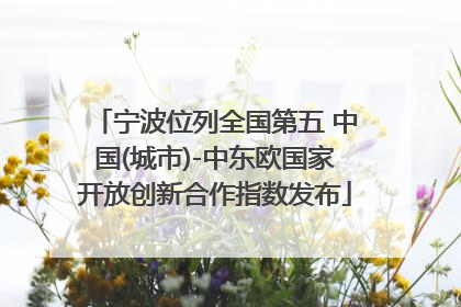 宁波位列全国第五 中国(城市)-中东欧国家开放创新合作指数发布