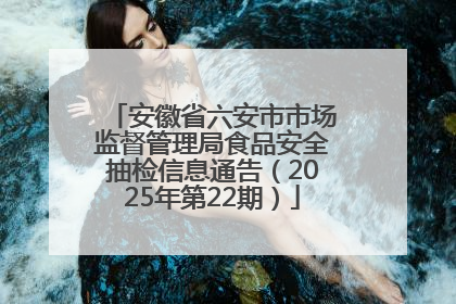 安徽省六安市市场监督管理局食品安全抽检信息通告（2025年第22期）