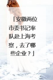 安徽两位市委书记率队赴上海考察，去了哪些企业？