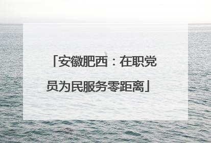 安徽肥西：在职党员为民服务零距离
