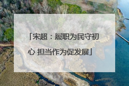宋超：履职为民守初心 担当作为促发展