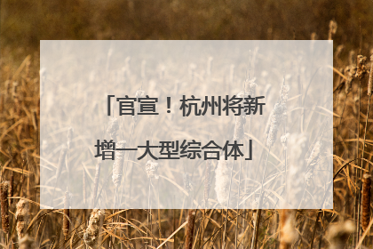 官宣！杭州将新增一大型综合体