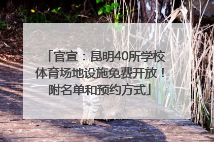官宣：昆明40所学校体育场地设施免费开放！附名单和预约方式