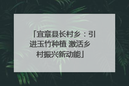宜章县长村乡：引进玉竹种植 激活乡村振兴新动能