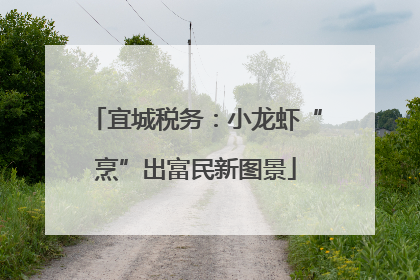 宜城税务：小龙虾“烹”出富民新图景