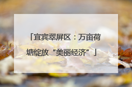 宜宾翠屏区：万亩荷塘绽放“美丽经济”