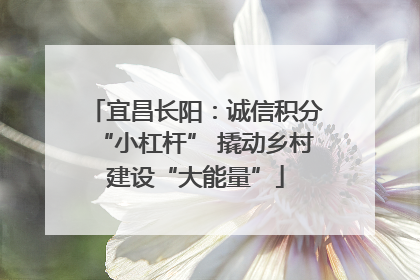 宜昌长阳：诚信积分“小杠杆” 撬动乡村建设“大能量”