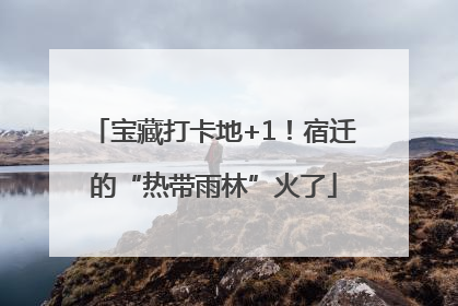宝藏打卡地+1！宿迁的“热带雨林”火了