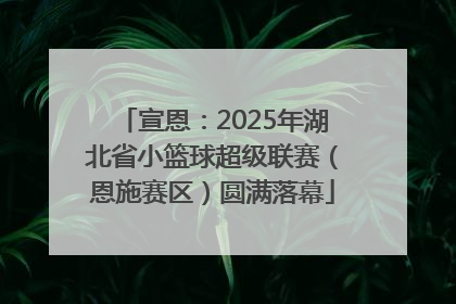 宣恩：2025年湖北省小篮球超级联赛（恩施赛区）圆满落幕