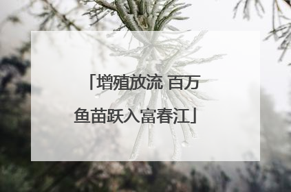 增殖放流 百万鱼苗跃入富春江