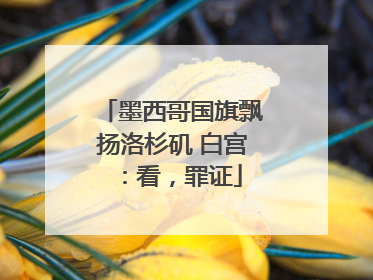 墨西哥国旗飘扬洛杉矶 白宫：看，罪证