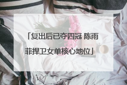 复出后已夺四冠 陈雨菲捍卫女单核心地位