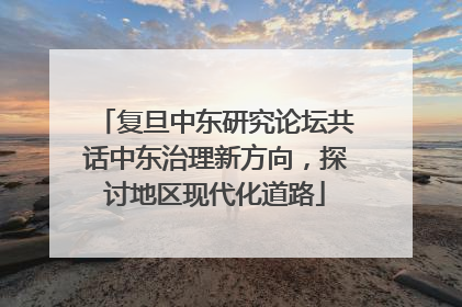 复旦中东研究论坛共话中东治理新方向，探讨地区现代化道路