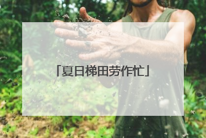 夏日梯田劳作忙
