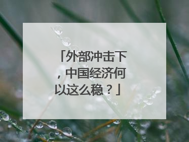 外部冲击下，中国经济何以这么稳？