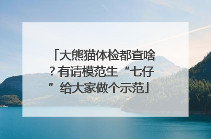 大熊猫体检都查啥？有请模范生“七仔”给大家做个示范