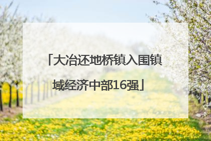 大冶还地桥镇入围镇域经济中部16强