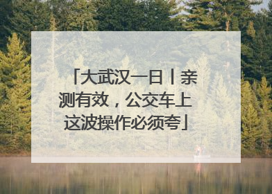 大武汉一日丨亲测有效，公交车上这波操作必须夸