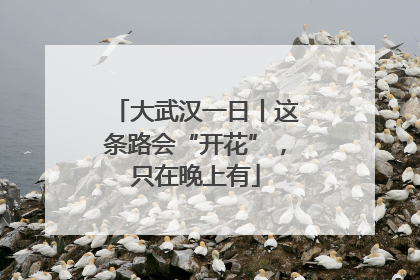 大武汉一日丨这条路会“开花”，只在晚上有