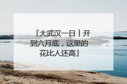大武汉一日︱开到六月底，这里的花比人还高