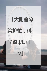 大棚葡萄管护忙，科学疏果助丰收