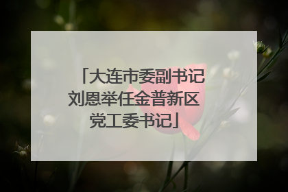 大连市委副书记刘恩举任金普新区党工委书记