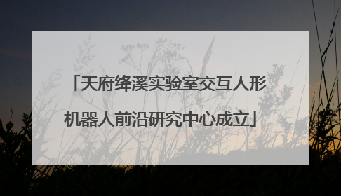 天府绛溪实验室交互人形机器人前沿研究中心成立