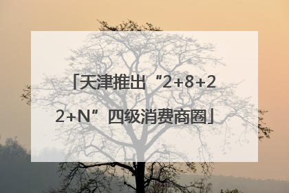 天津推出“2+8+22+N”四级消费商圈