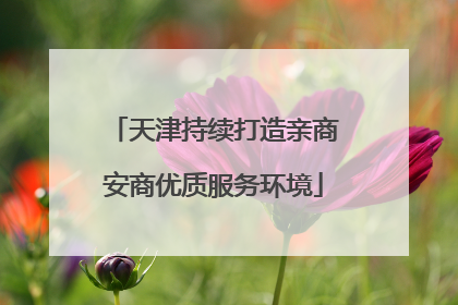 天津持续打造亲商安商优质服务环境