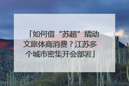 如何借“苏超”撬动文旅体商消费？江苏多个城市密集开会部署