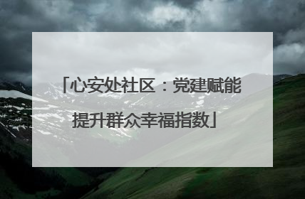 心安处社区：党建赋能 提升群众幸福指数