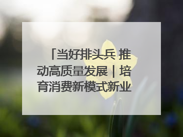 当好排头兵 推动高质量发展｜培育消费新模式新业态 释放经济增长新动能
