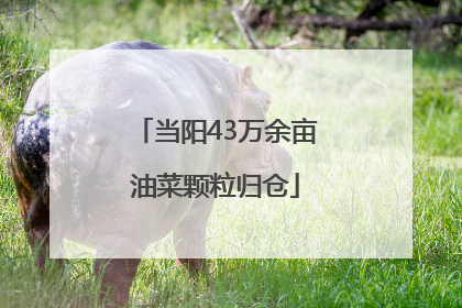 当阳43万余亩油菜颗粒归仓