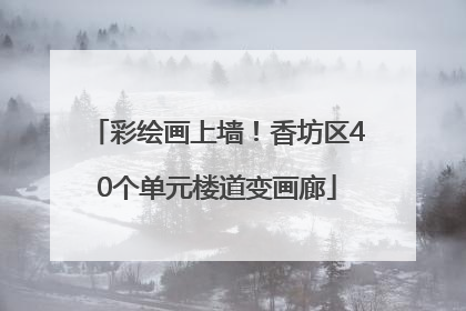 彩绘画上墙！香坊区40个单元楼道变画廊