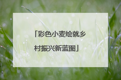 彩色小麦绘就乡村振兴新蓝图