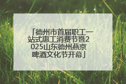 德州市首届职工一站式惠工消费节暨2025山东德州燕京啤酒文化节开幕