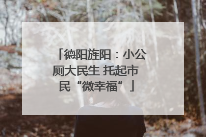 德阳旌阳：小公厕大民生 托起市民“微幸福”