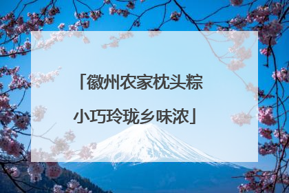 徽州农家枕头粽 小巧玲珑乡味浓