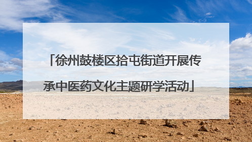 徐州鼓楼区拾屯街道开展传承中医药文化主题研学活动
